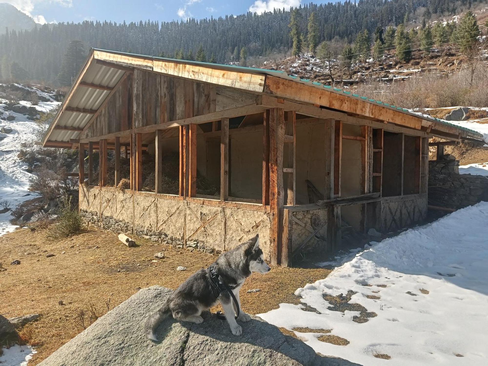 Trimounts-A Boutique Hotel & Wellnes Center In Tirthan Valley Banjar Екстер'єр фото
