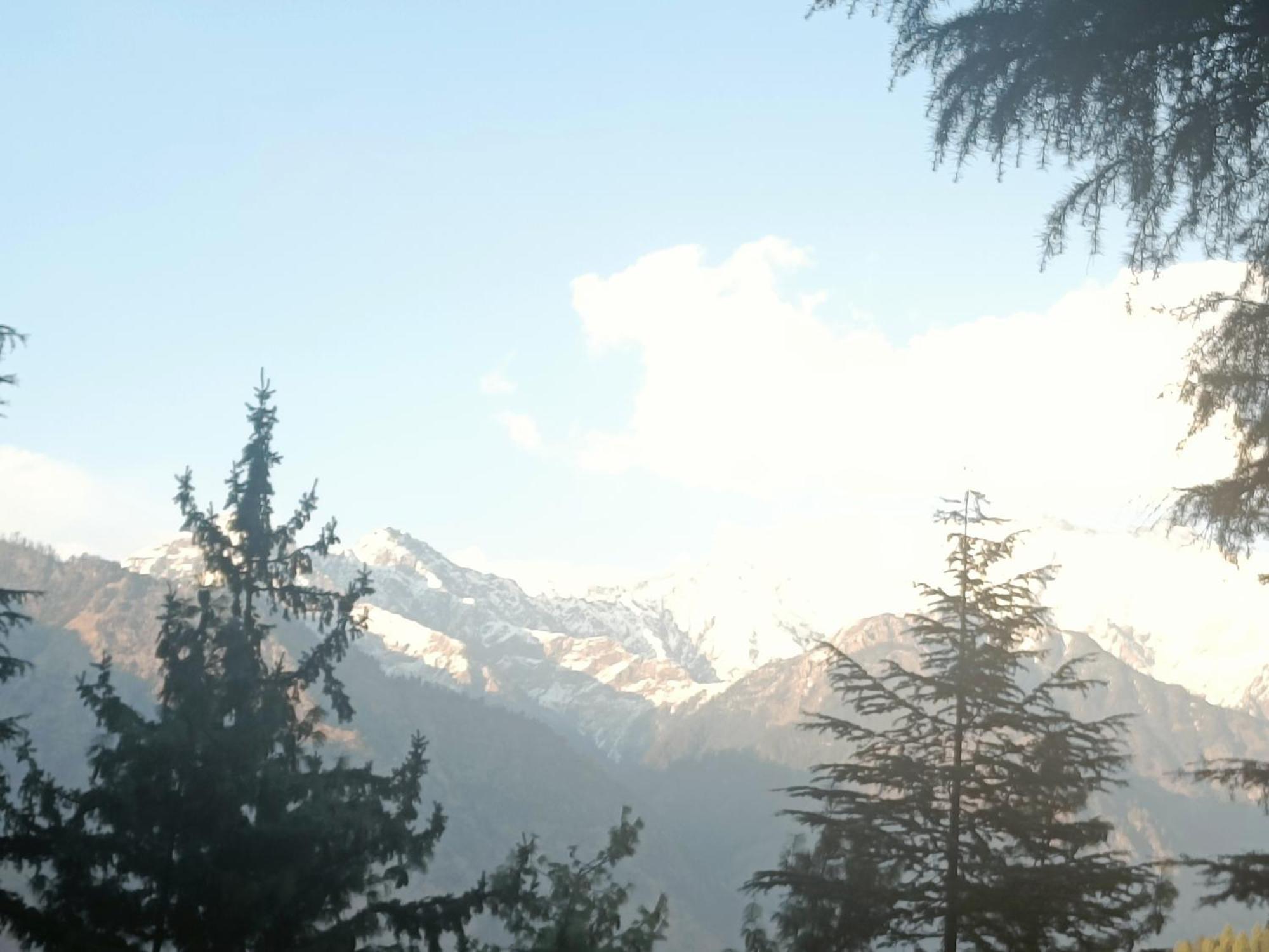 Trimounts-A Boutique Hotel & Wellnes Center In Tirthan Valley Banjar Екстер'єр фото