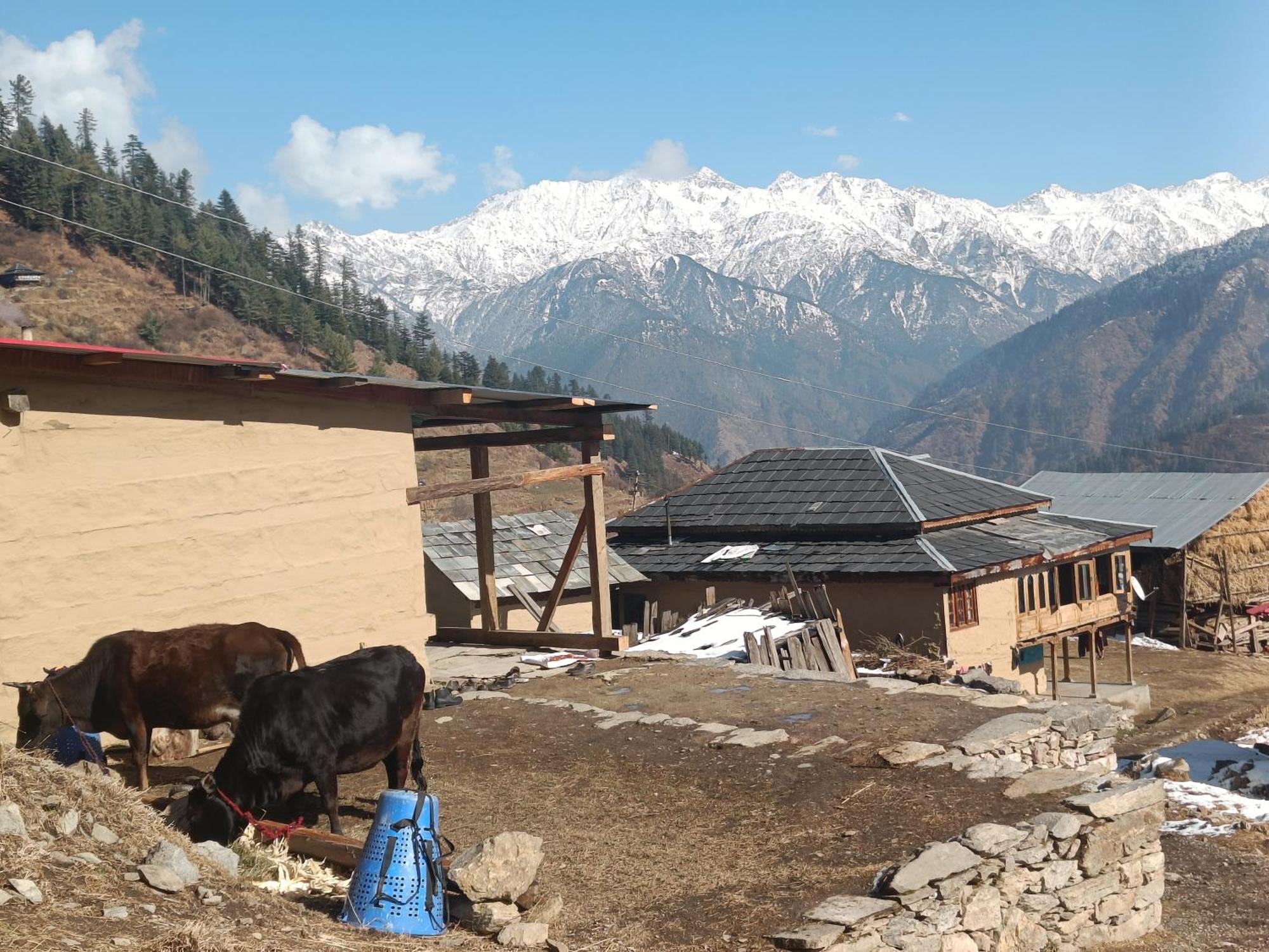Trimounts-A Boutique Hotel & Wellnes Center In Tirthan Valley Banjar Екстер'єр фото