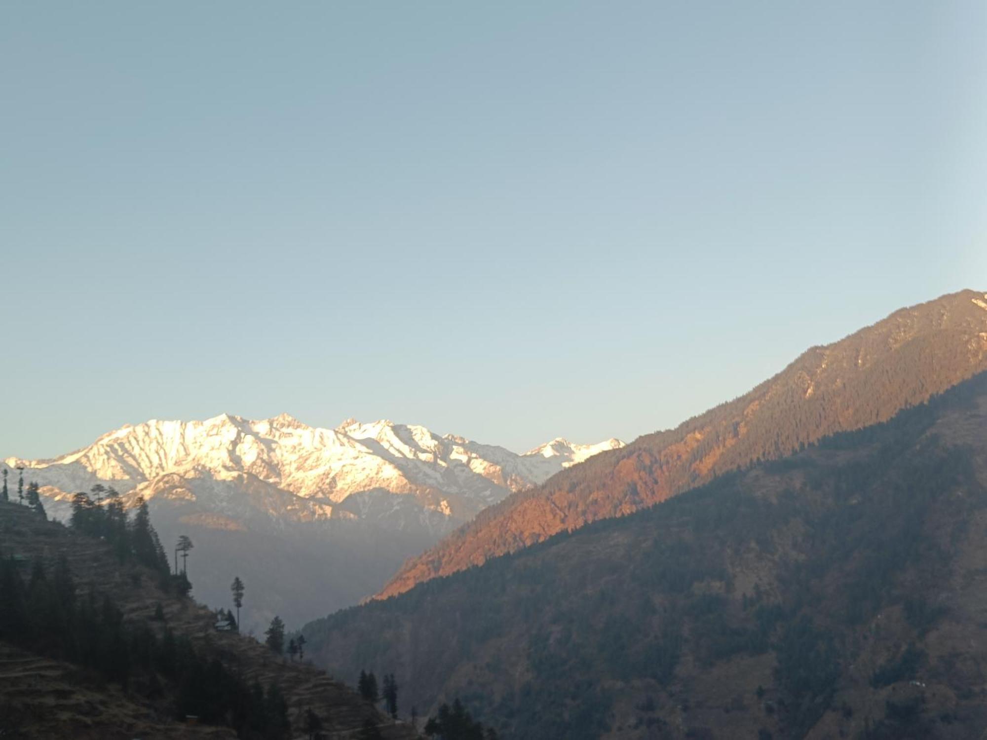 Trimounts-A Boutique Hotel & Wellnes Center In Tirthan Valley Banjar Екстер'єр фото