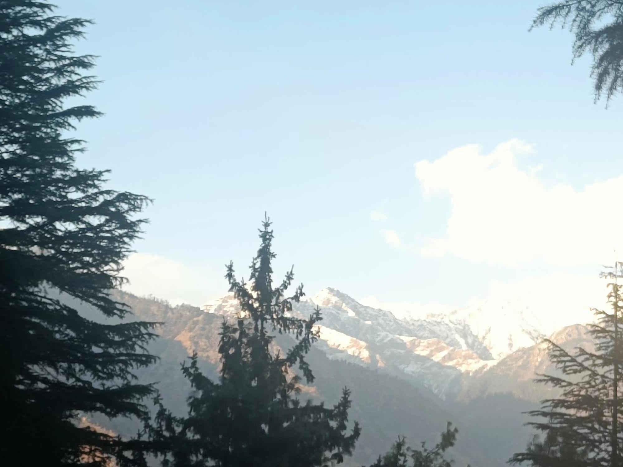 Trimounts-A Boutique Hotel & Wellnes Center In Tirthan Valley Banjar Екстер'єр фото